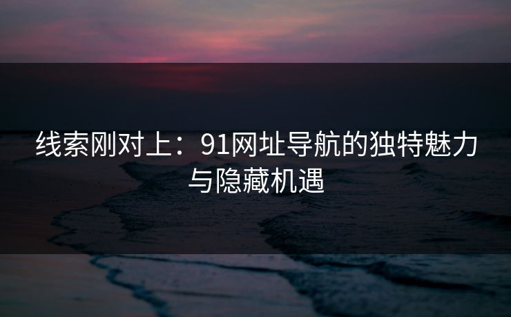 线索刚对上：91网址导航的独特魅力与隐藏机遇